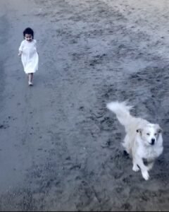 La Tempesta di Scordio arriva a Milano: Shakespeare tra cinema e teatro allo Spazio Tertulliano