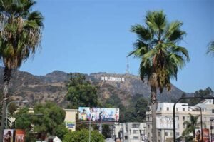 Star internazionali Cannes 2026: attesa altissima per il red carpet